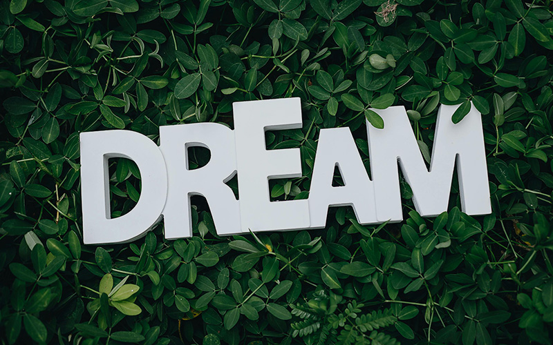 Diversity and Inclusion