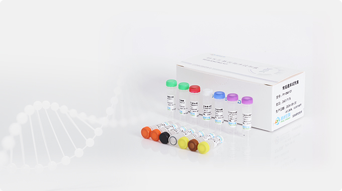 Universal Library Prep Kit