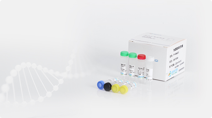 Rapid Library Prep Kit