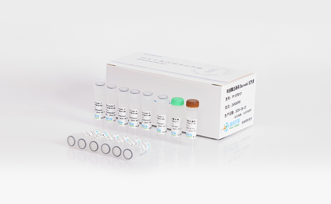 Transposase-based Barcode Kit