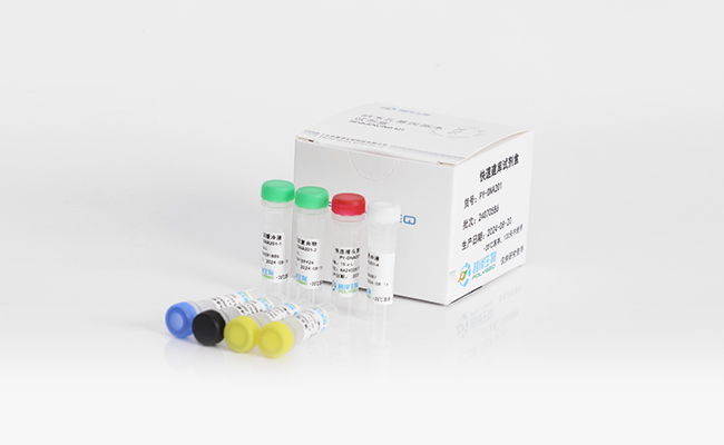 Rapid Library Prep Kit